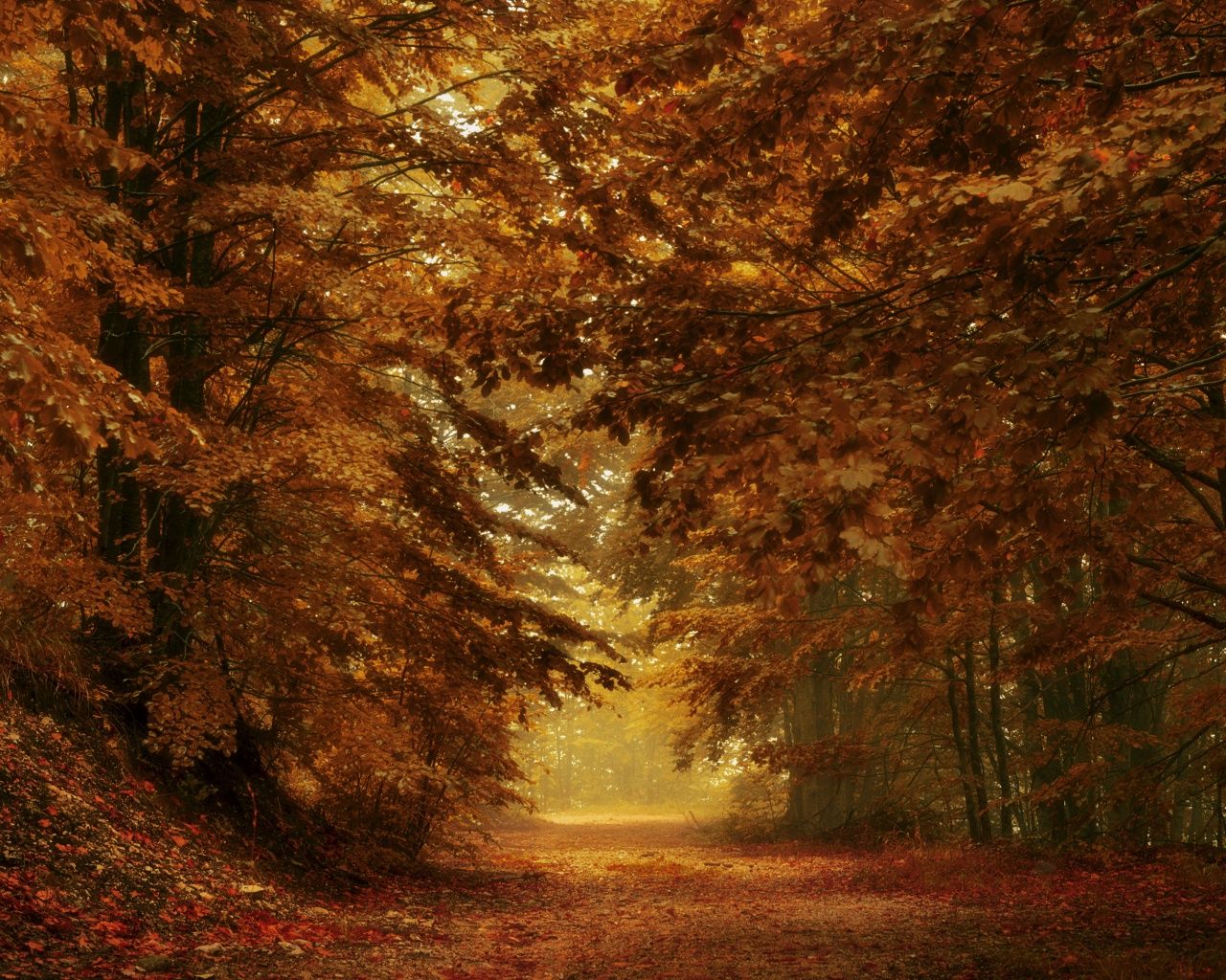 1280x1024 1280x1024 Fullscreen 5:4 High Quality Desktop Wallpaper for UltraHD TV, Smartphone, Tablet