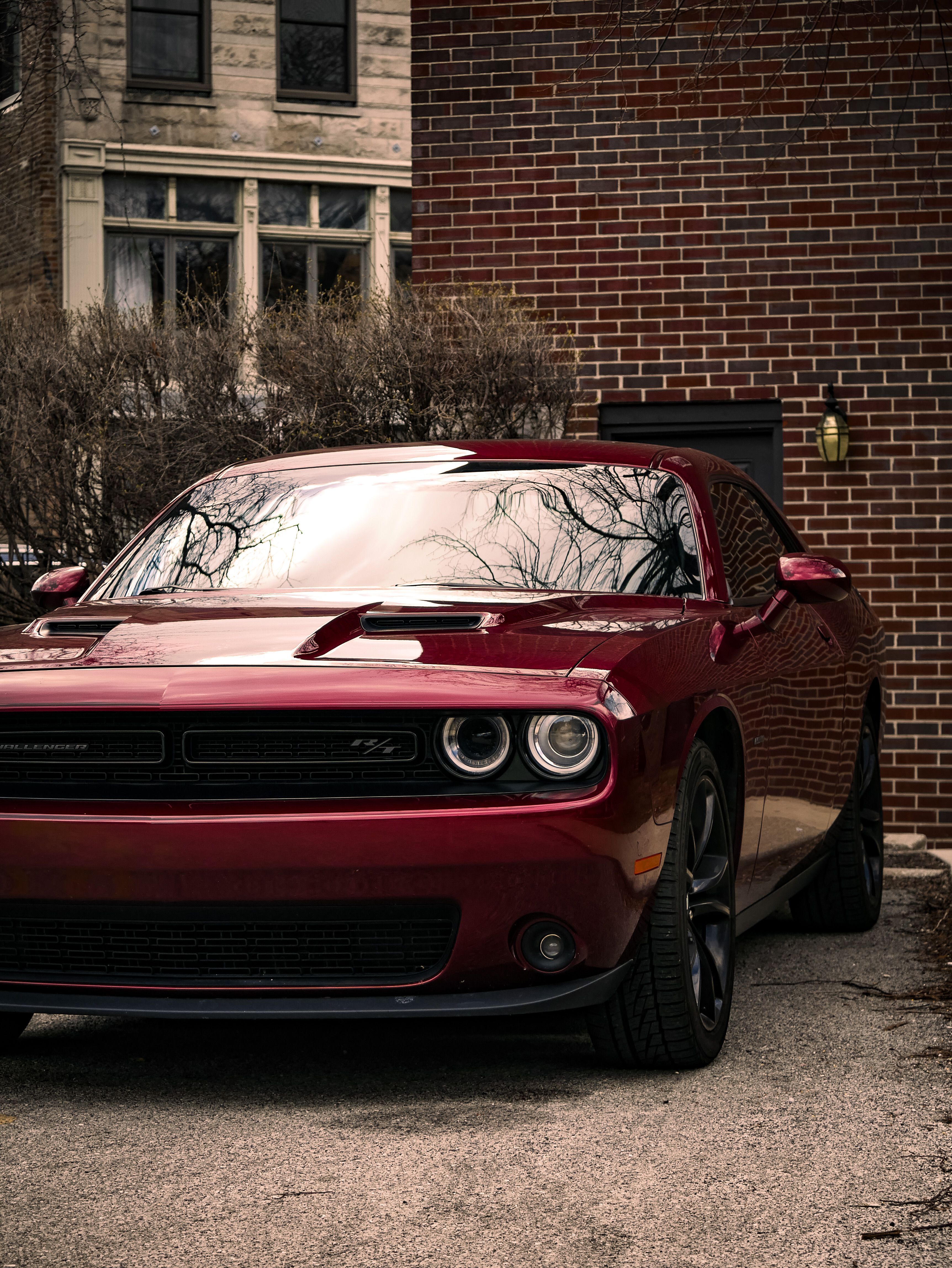 3448x4592 Dodge Challenger Photo, Download The BEST Free Dodge Challenger & HD Image