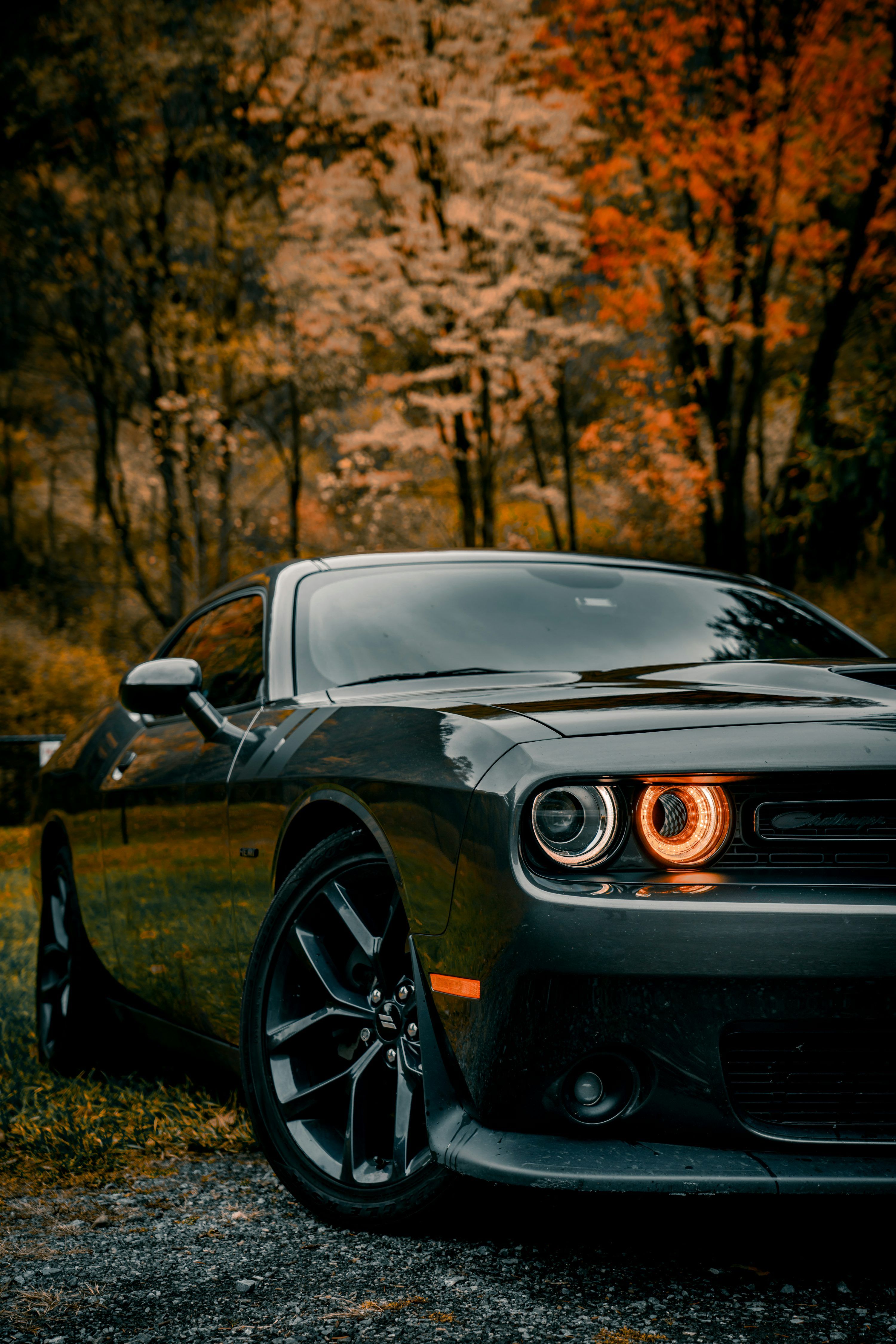 3000x4498 Dodge Challenger Srt Picture. Download Free Image