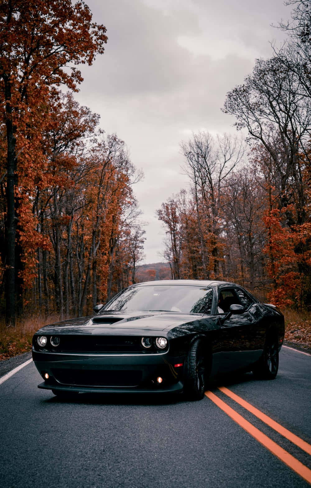 1000x1567 Download The Iconic Dodge Challenger in Brilliant 4k Wallpaper