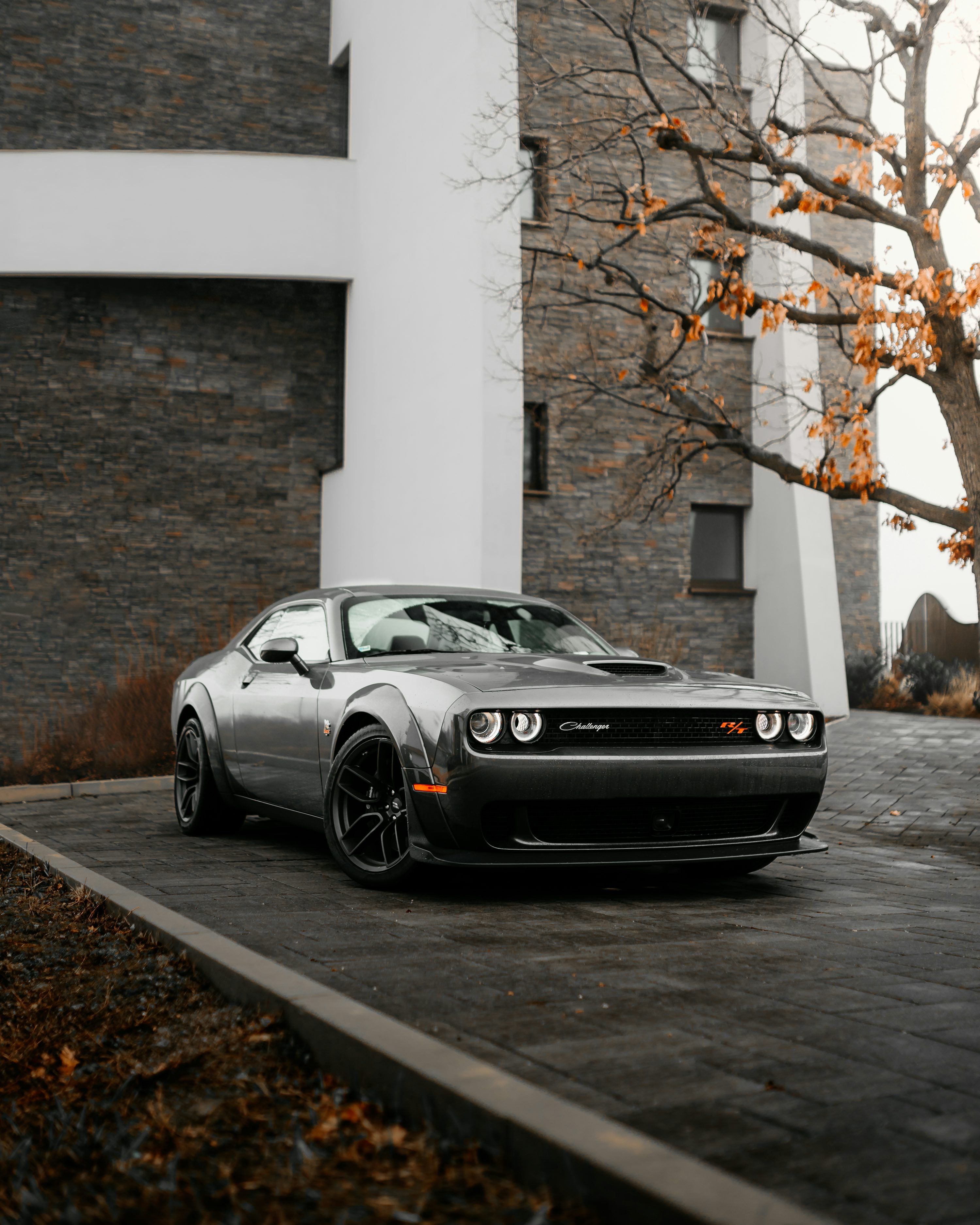 3000x3750 Dodge Challenger Srt Picture. Download Free Image