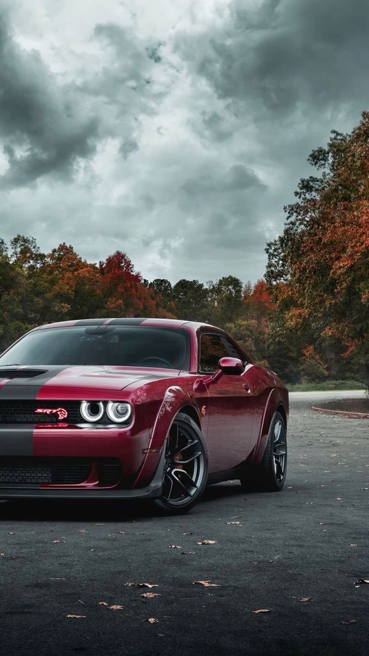 736x1308 Dodge Challenger Car Wallpaper