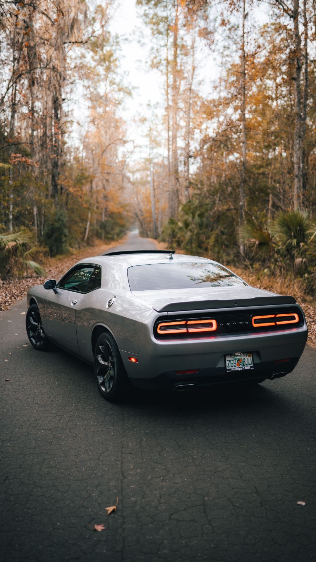 1080x1920 Dodge Challenger Wallpaper