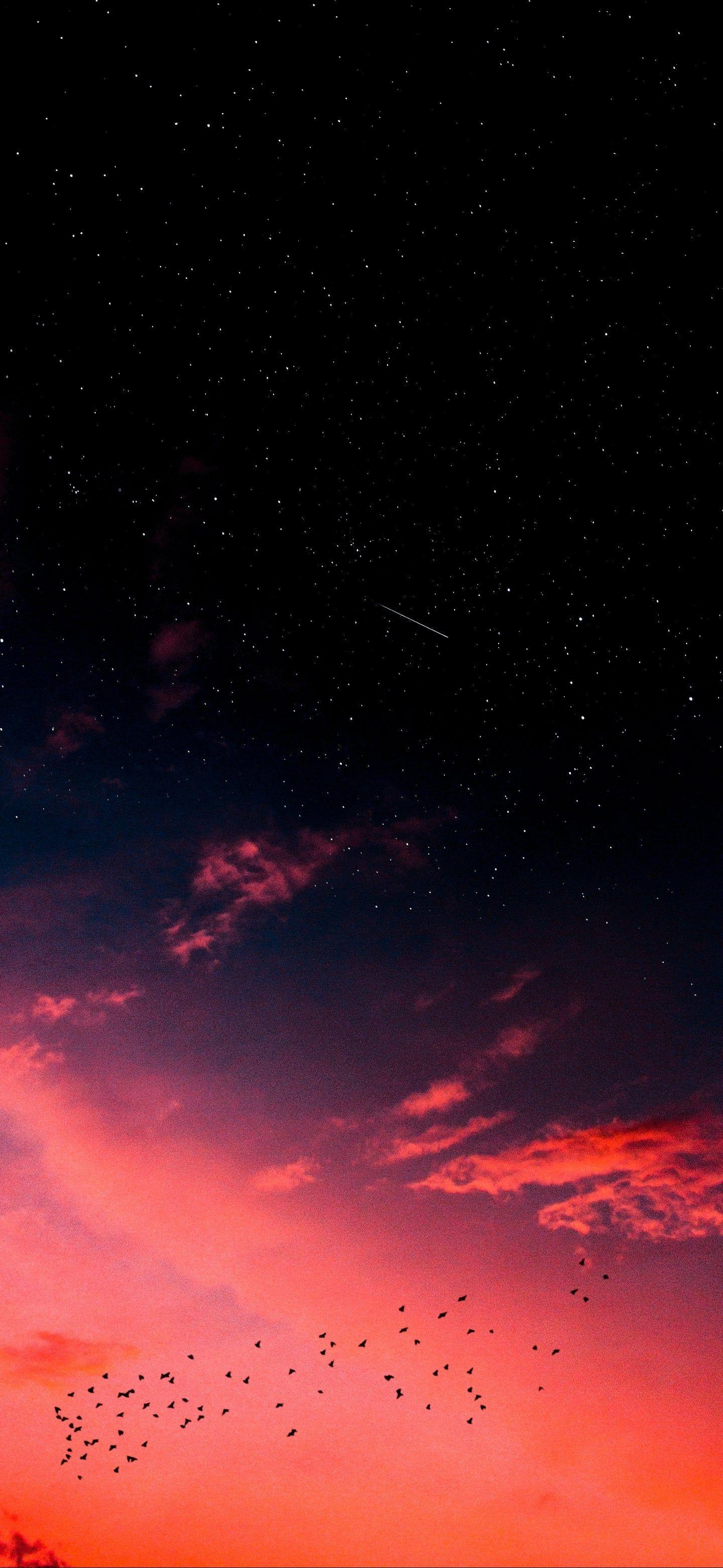 1440x3120 Smart Phone Wallpaper