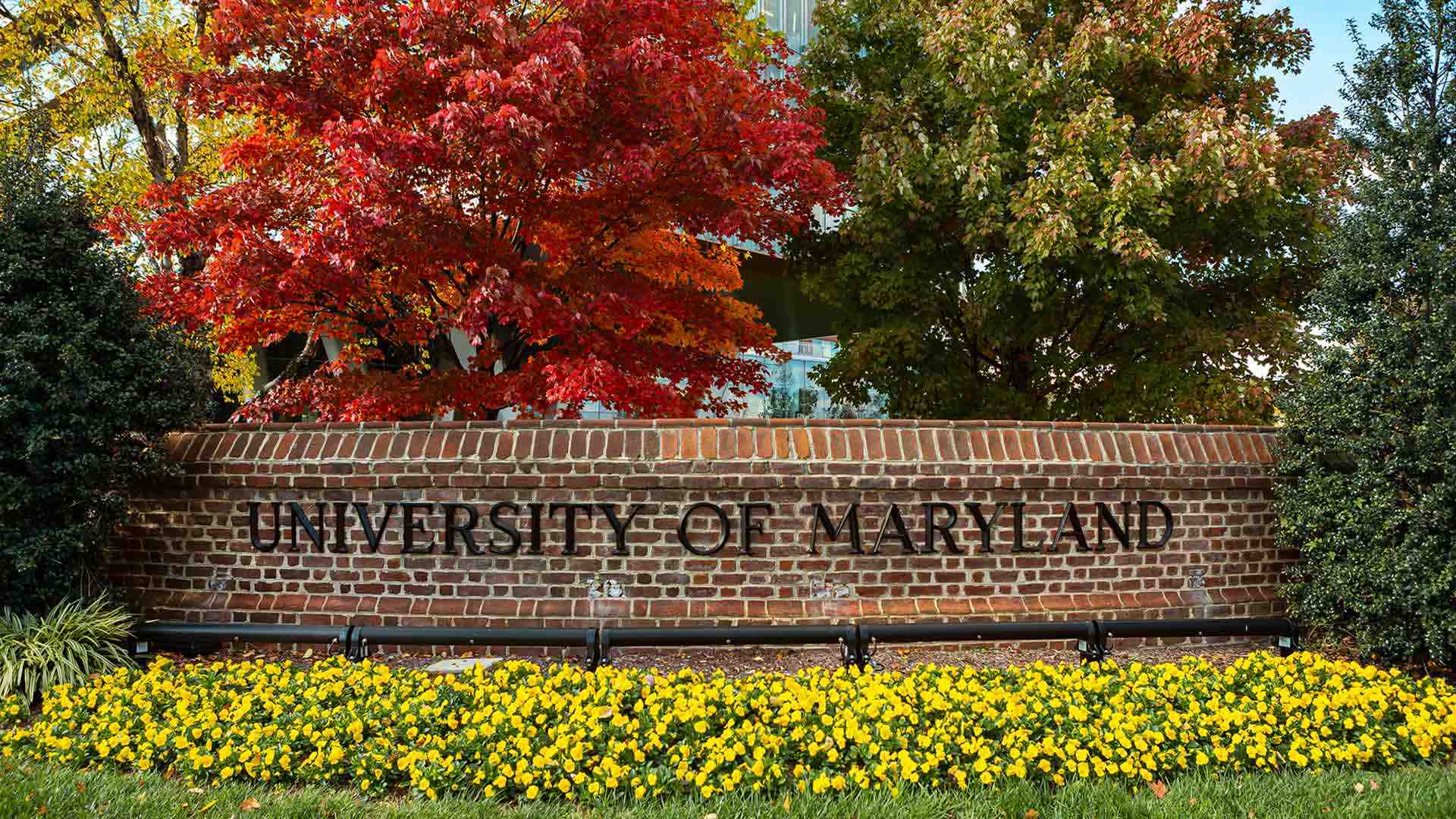 1920x1080 UMD Advances in U.S. News' Ranking of Top Global Universities