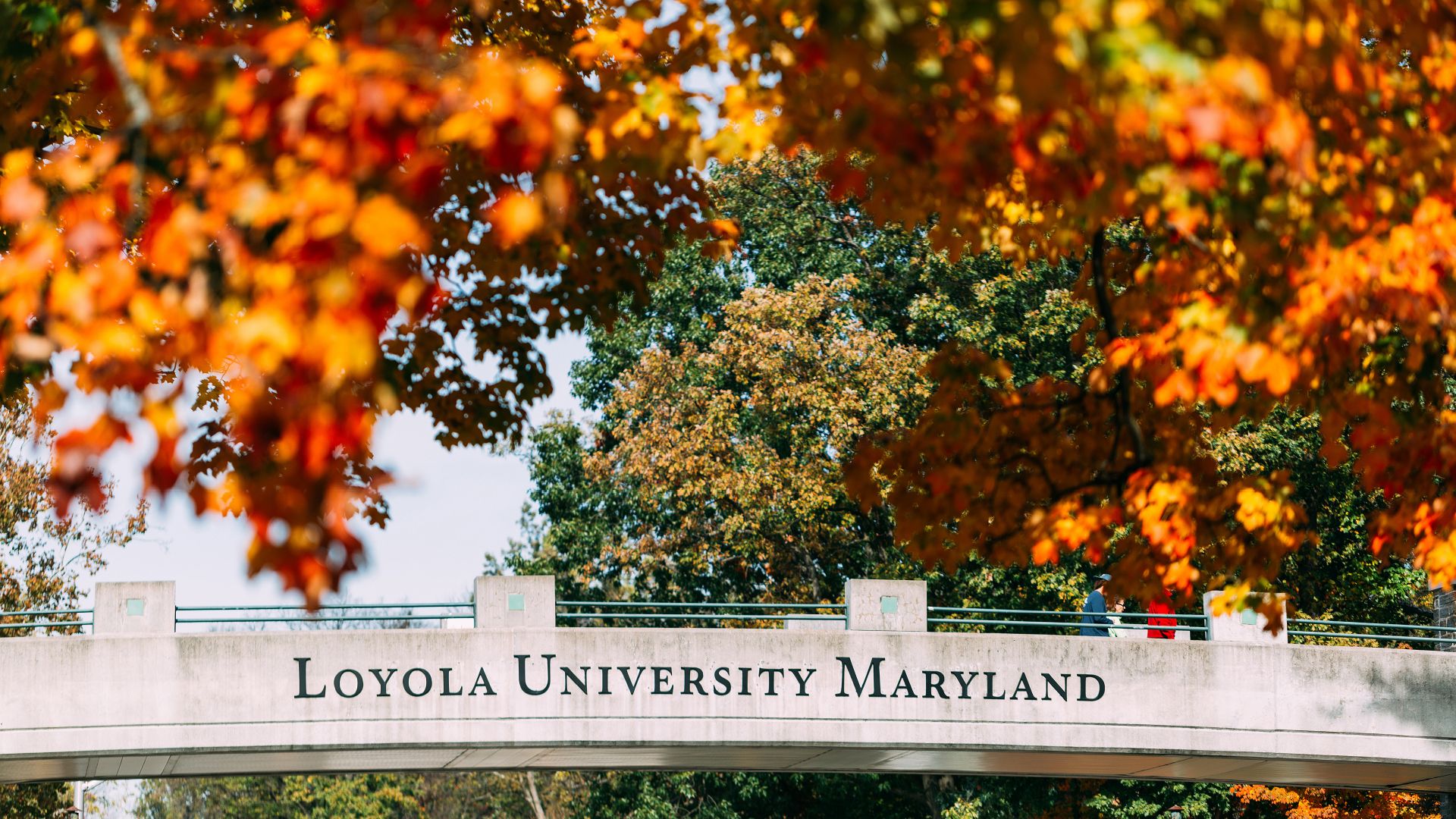 1920x1080 Professional Zoom Background. Office of Marketing and Communications. Loyola University Maryland