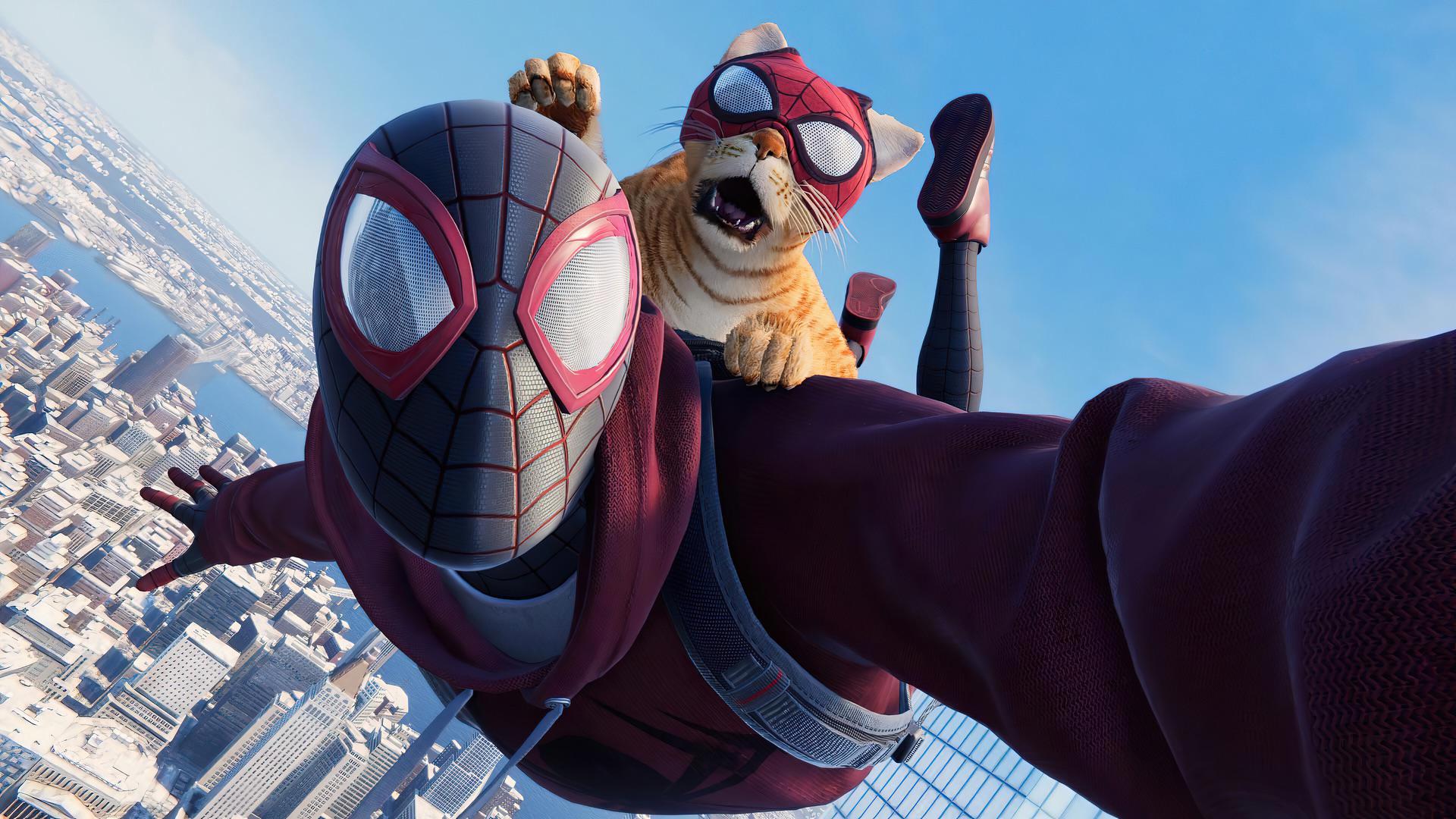 1920x1080 Spider Man and Cat. (1920x1080)