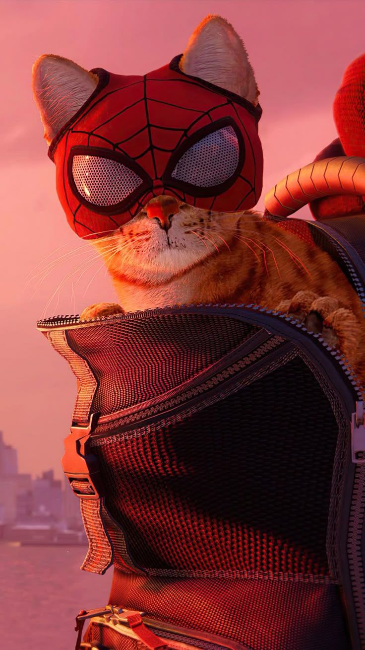 736x1309 Spider Cat Spider Man Miles Morales 2021 Game 4K Ultra HD Mobile Wallpaper For IPhone & Android