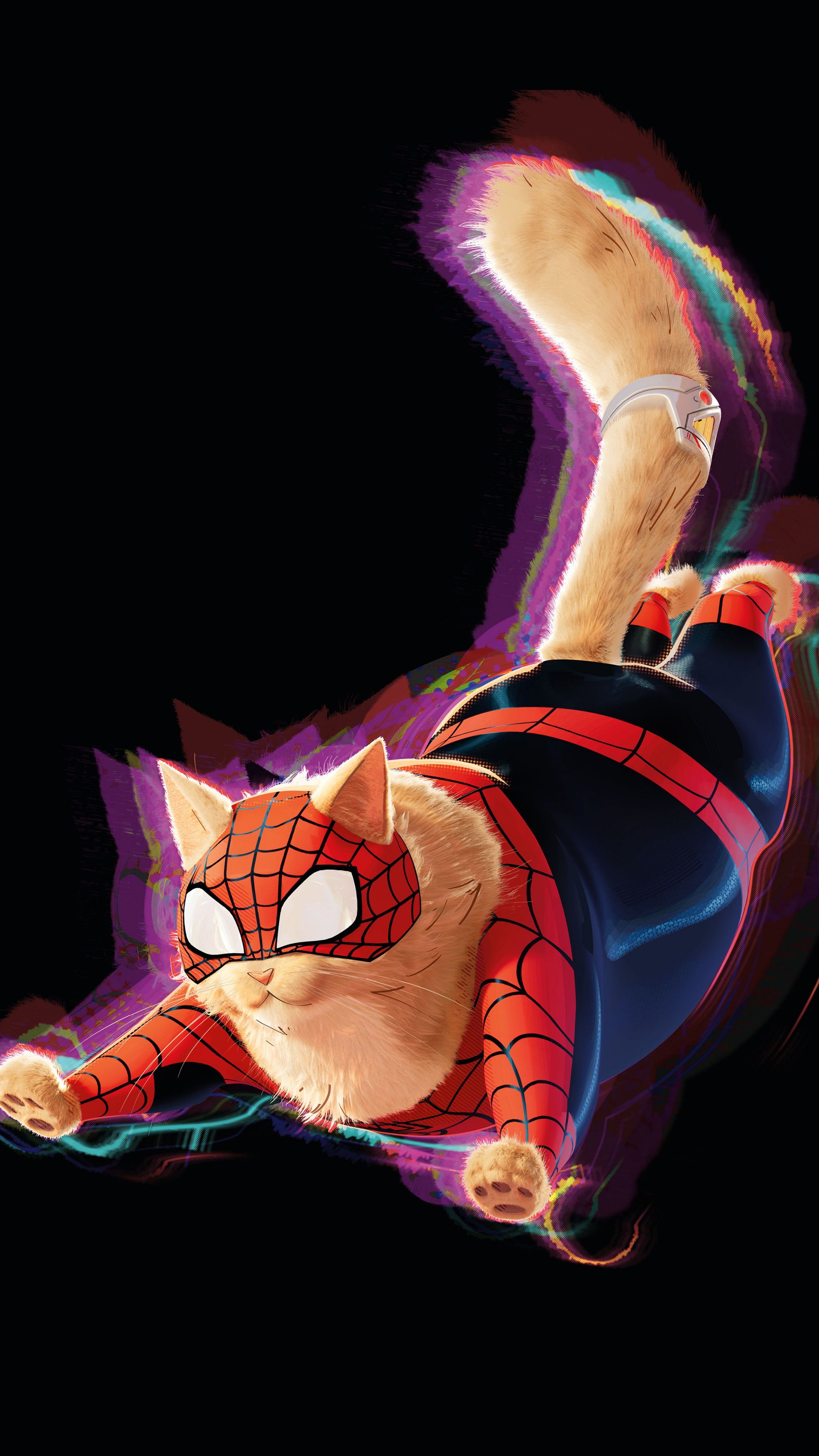 2160x3840 Spider Cat Wallpaper 4K, 8K, AMOLED