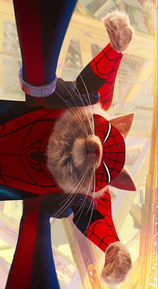 660x1200 Spider Cat. Spiderverse, Spider Verse, Spider Man
