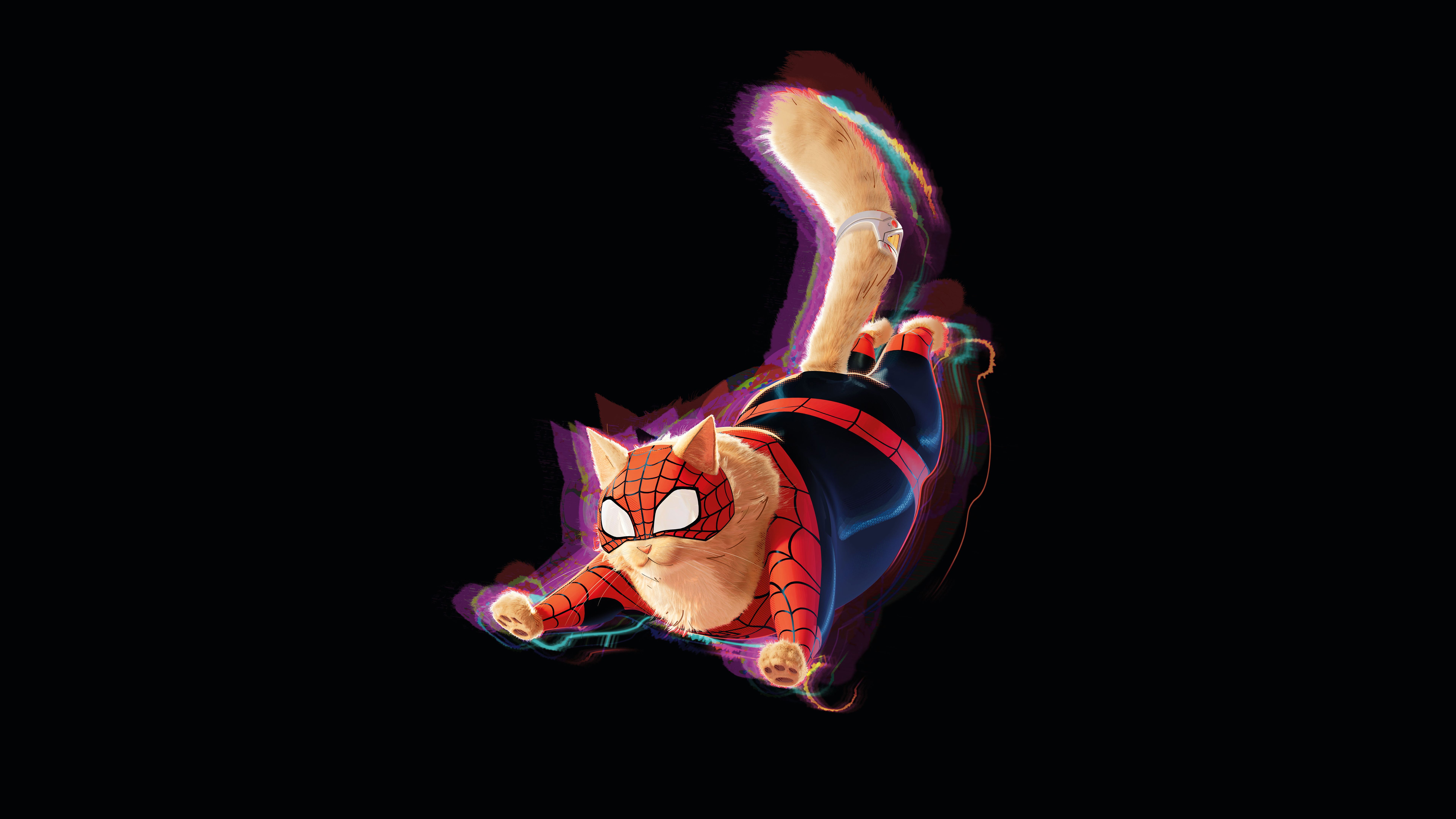 7680x4320 Spider Cat Wallpaper 4K, 8K, AMOLED