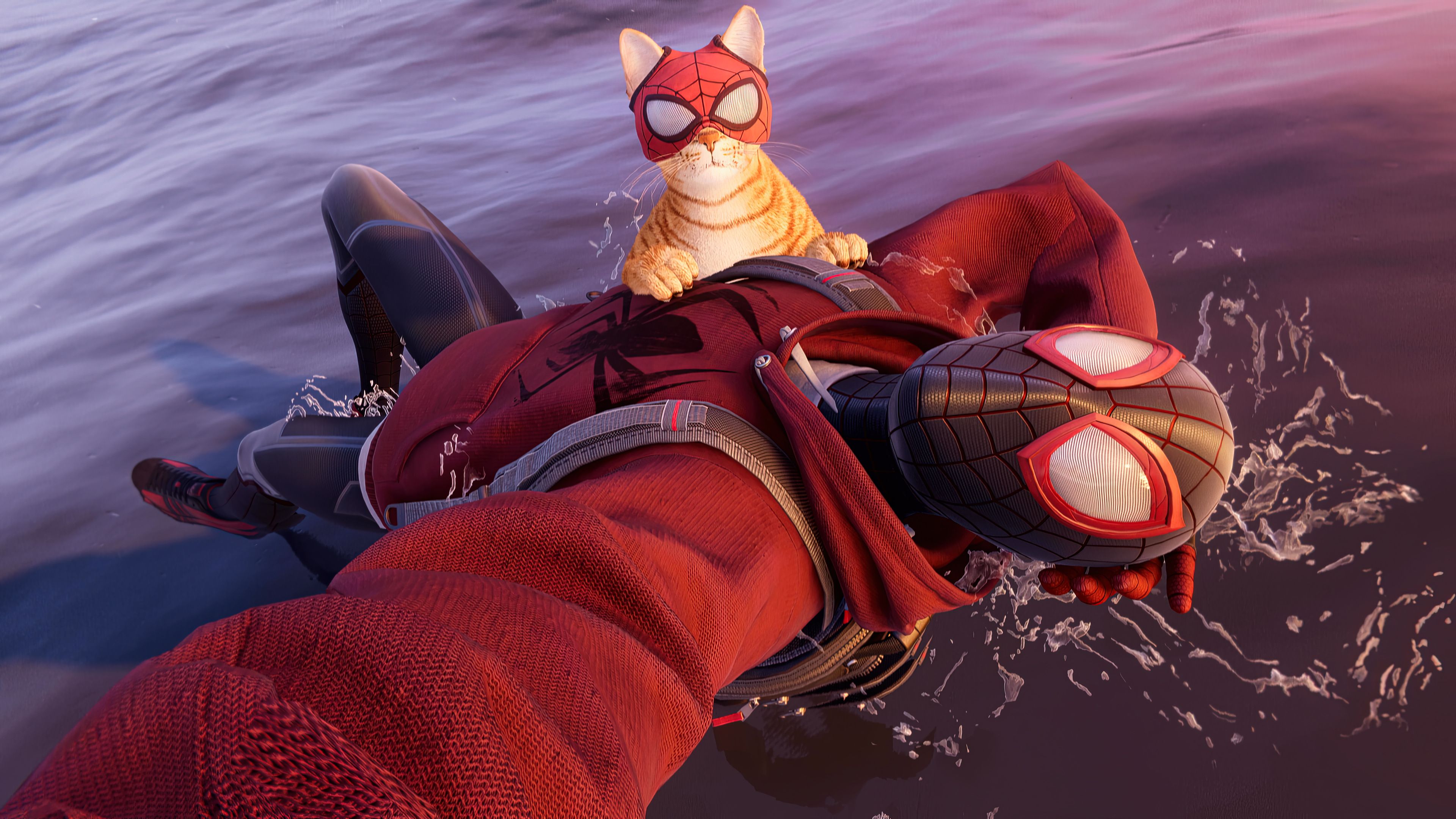 3840x2160 Spider Man Cat Wallpaper