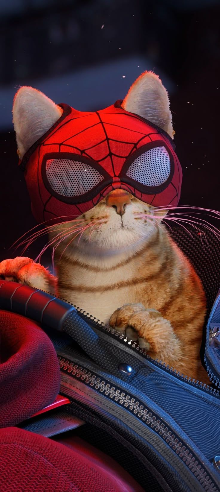 736x1644 Marvel's Spidercat HD Wallpaper from Spiderman Miles Morales