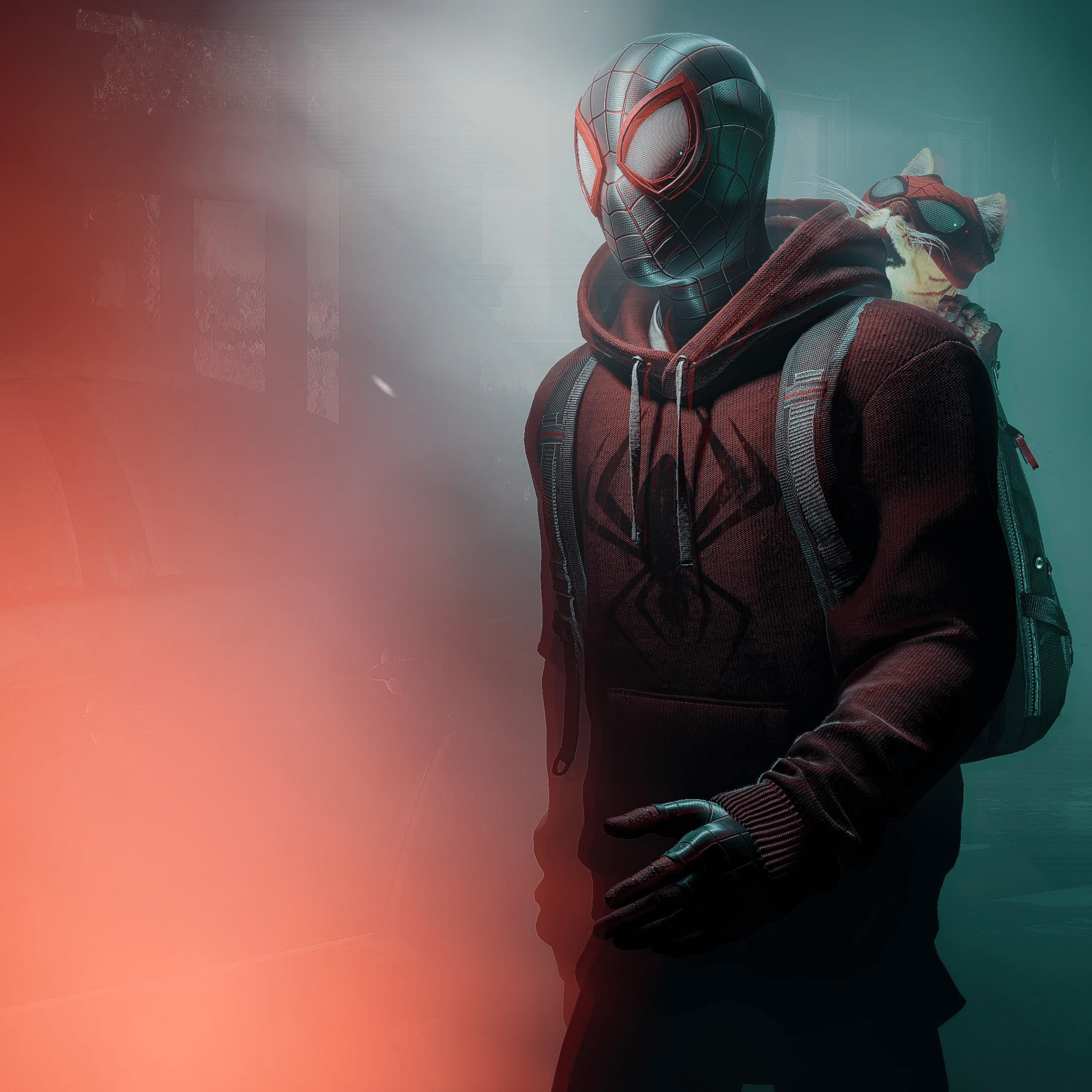 2048x2048 Spider Man: Miles Morales Wallpaper 4K, Spider Cat, Spiderman