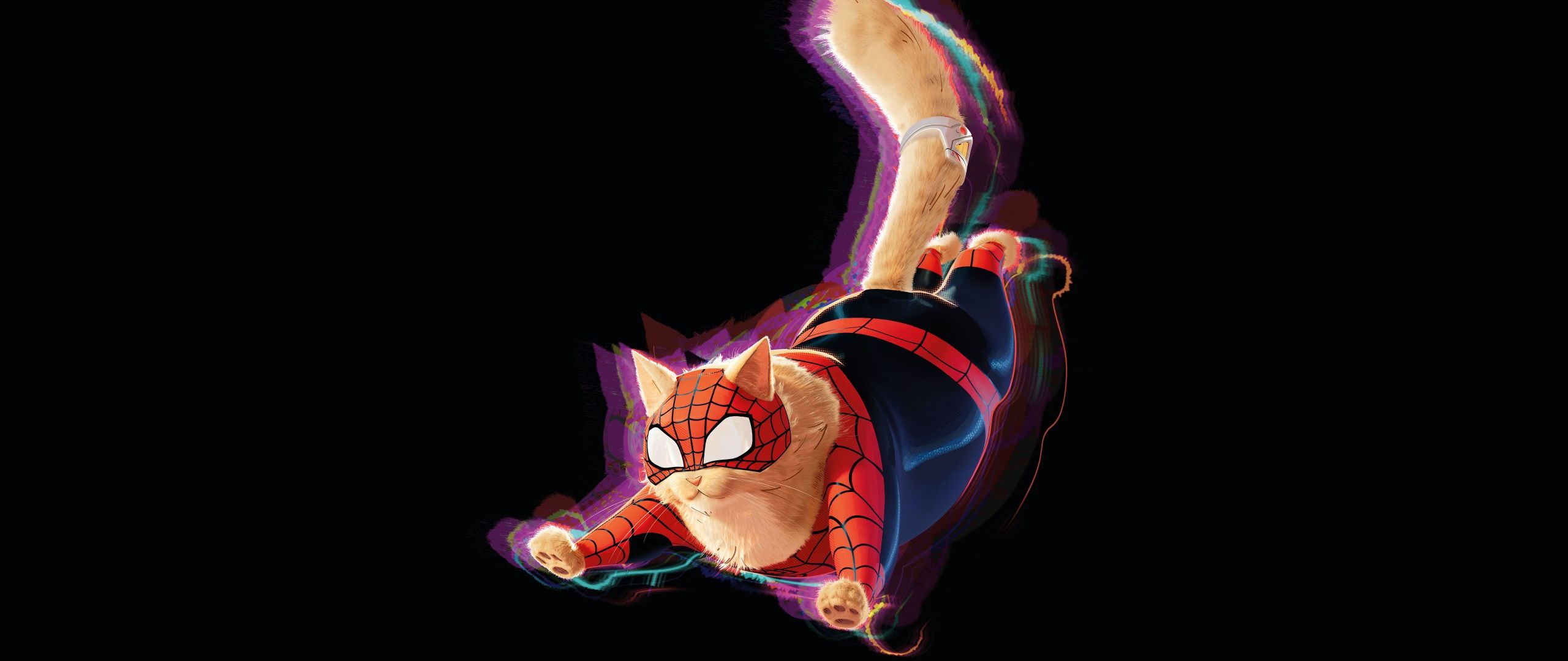 2560x1080 Spider Man Cat Wallpaper