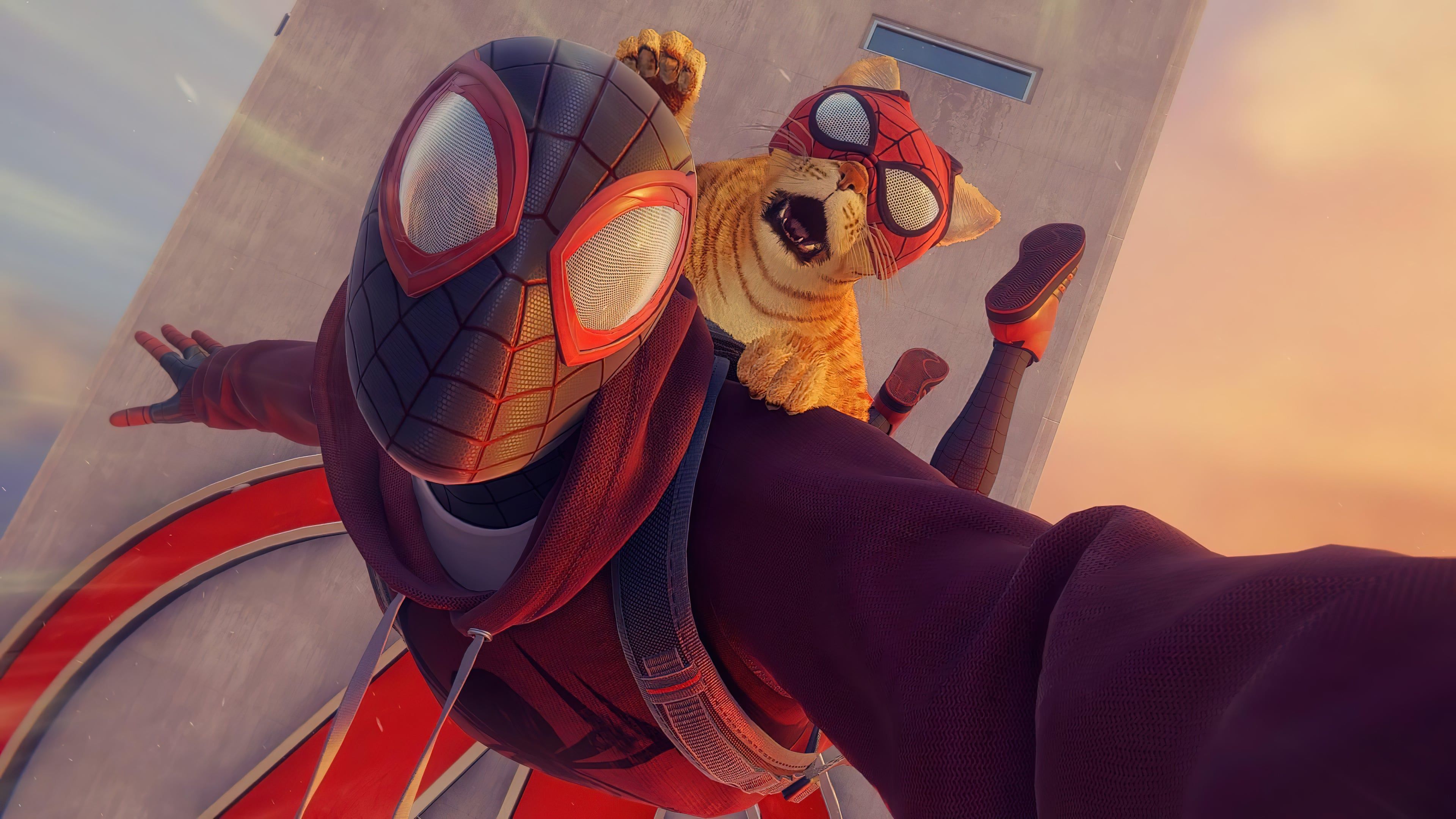 3840x2160 Spiderman and Spidercat Wallpaper 4K for Desktop