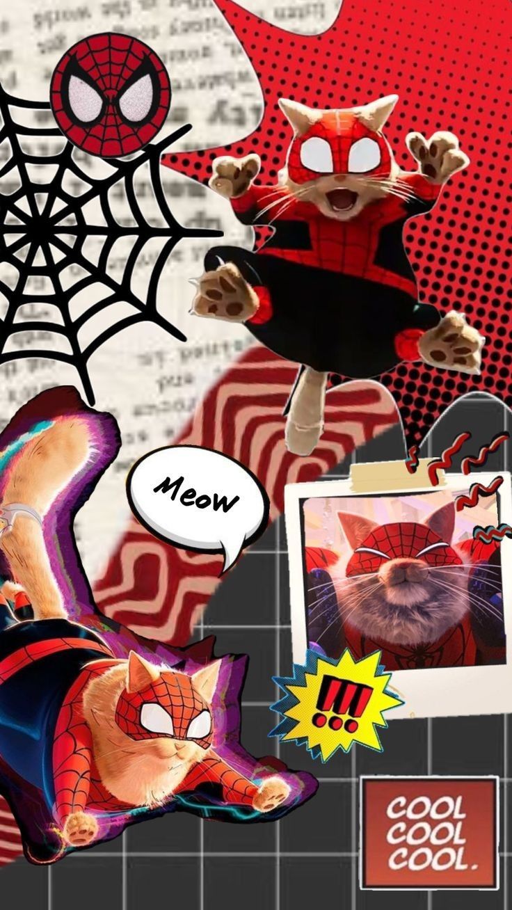 736x1308 Spider Cat: The Feline Superhero. Wallpaper gatos, Spiderman painting, Spiderman and spider gwen