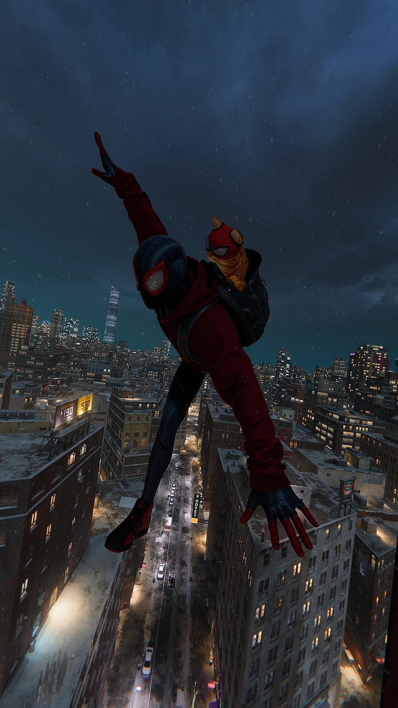 800x1422 Spider Man, Bodega Cat Suit, New York, Cat, Miles Morales, Marvel, HD Phone Wallpaper