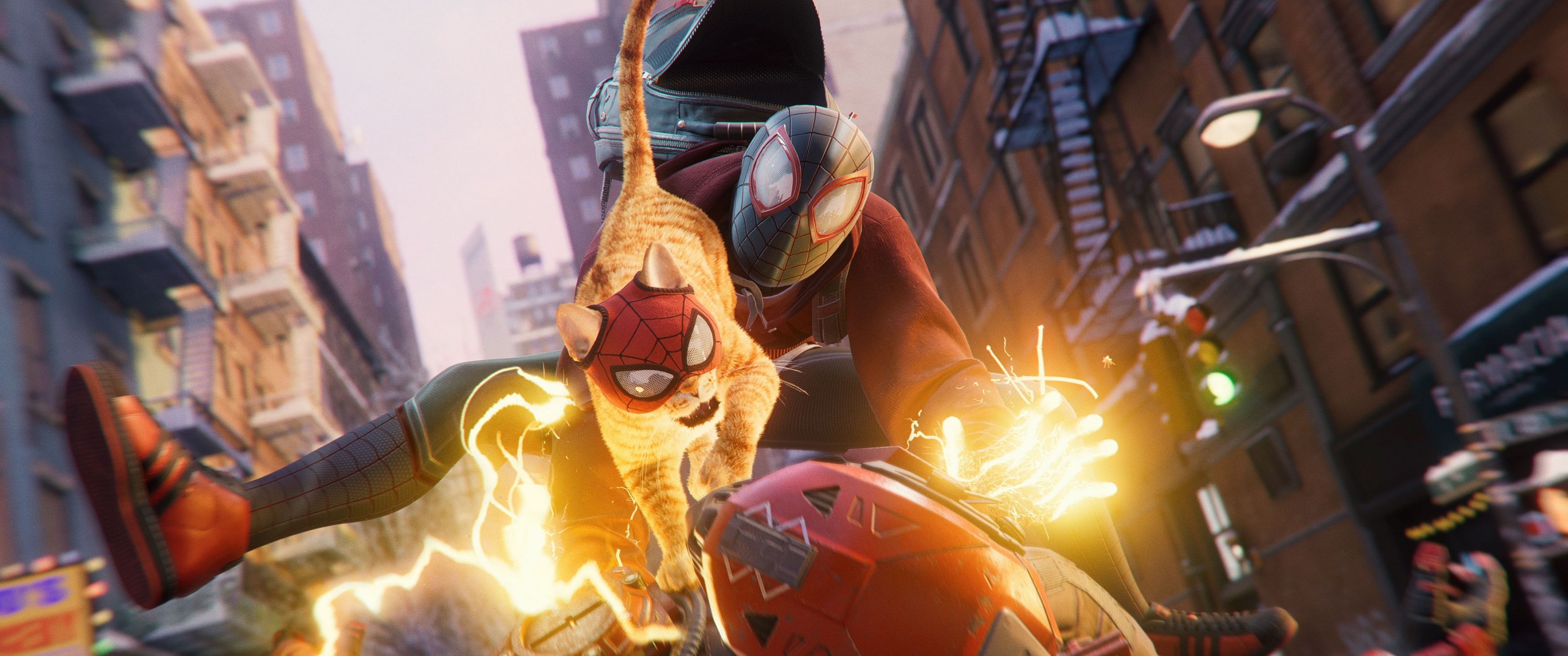 3440x1440 Spider Cat Wallpaper 4K, Spider Man: Miles Morales