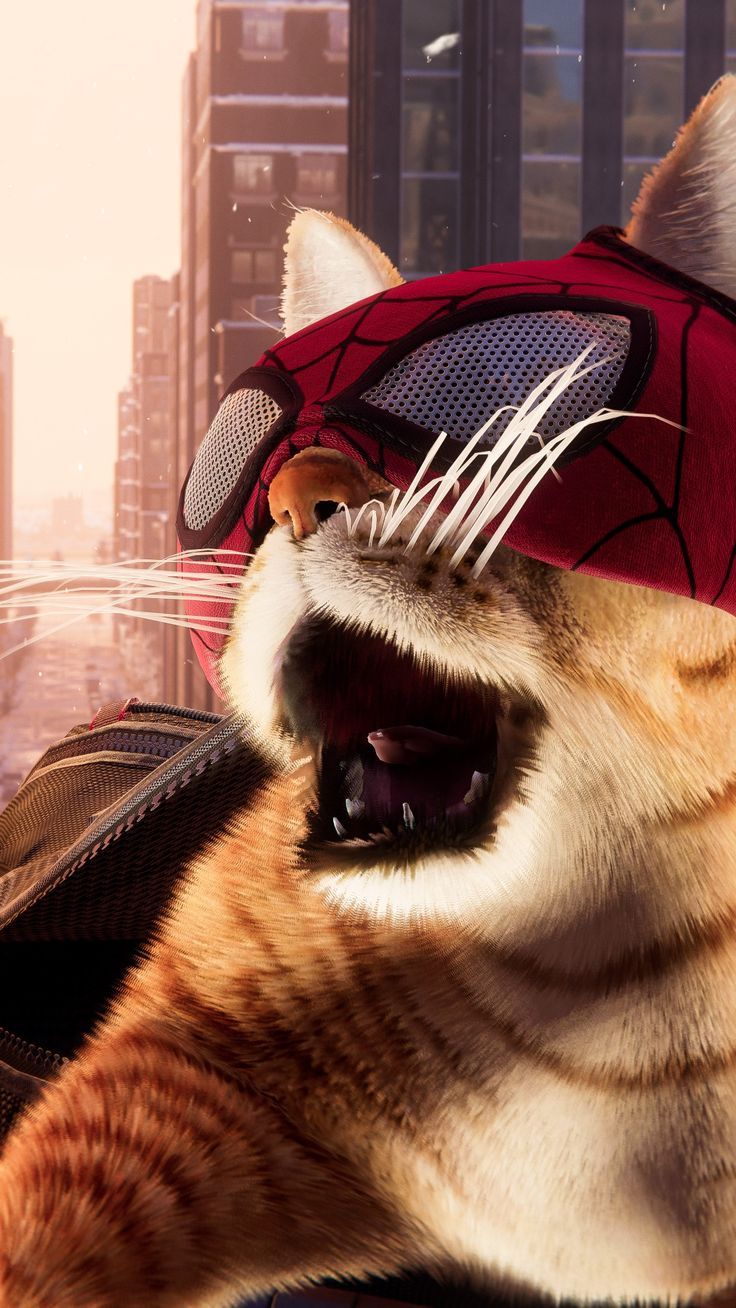 736x1308 Spider Cat Wallpaper. Meows morales wallpaper, Spidercat wallpaper, Miles morales cat wallpaper
