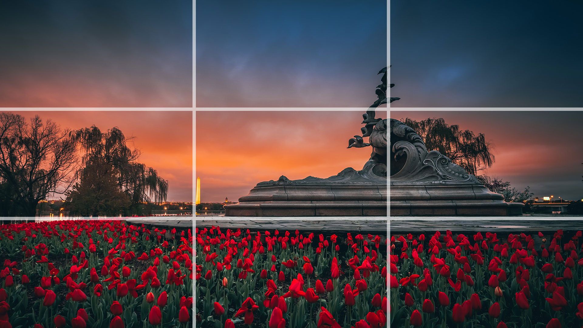 1920x1080 What is the Rule of Thirds and When to Break It