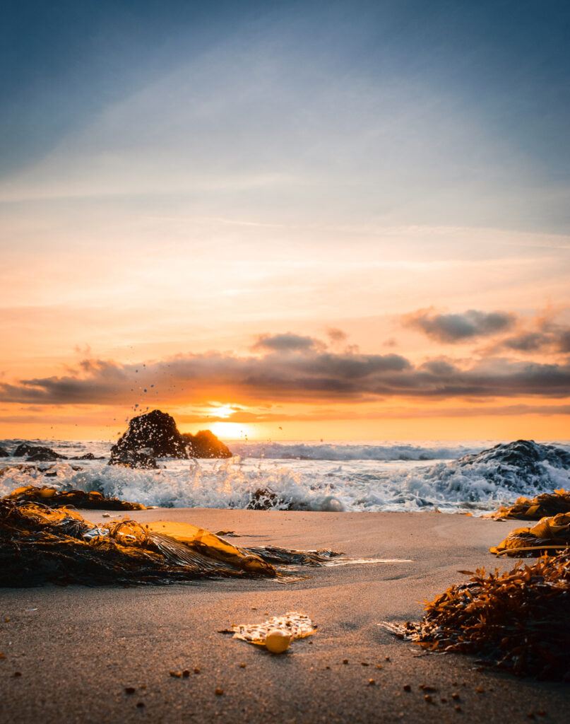 807x1024 The Rule of Thirds Explained and When to Break It!