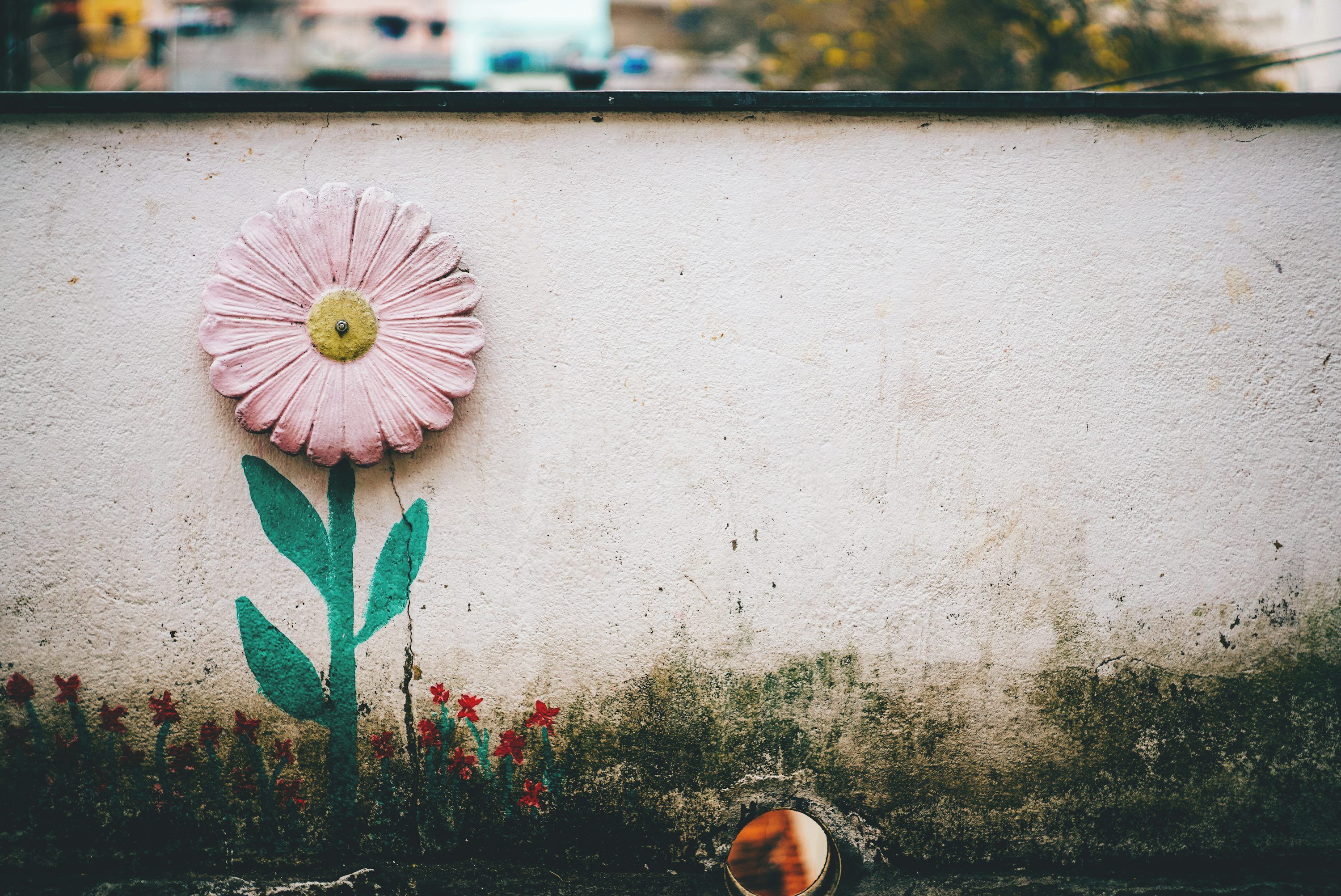 3000x2004 Rule of thirds photography of pink flower art