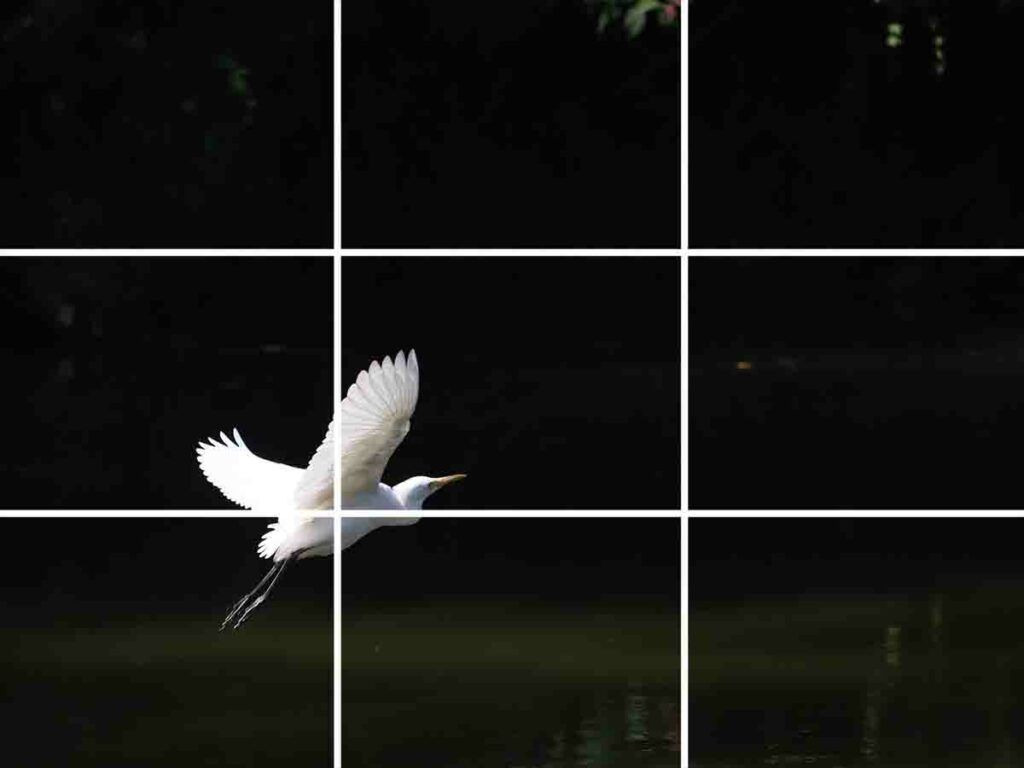 1024x768 What Is The Rule Of Thirds? How To For Photographers