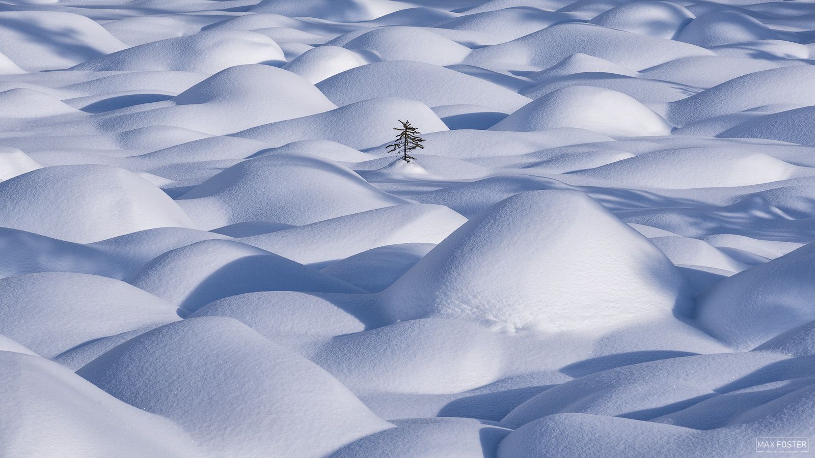 1600x900 The Rule Of Thirds in Photography Explained. Max Foster Photography