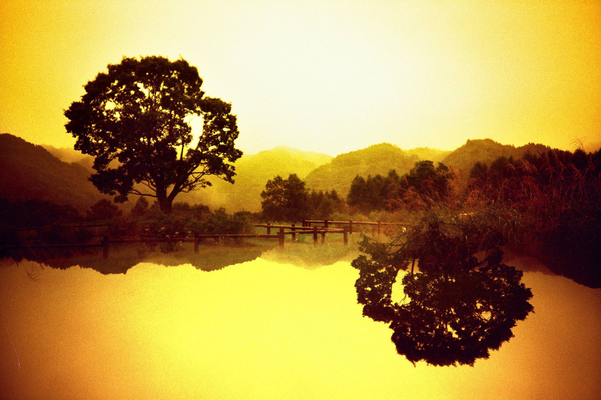 2000x1332 Tipster: How to Practice the Rule of Thirds · Lomography