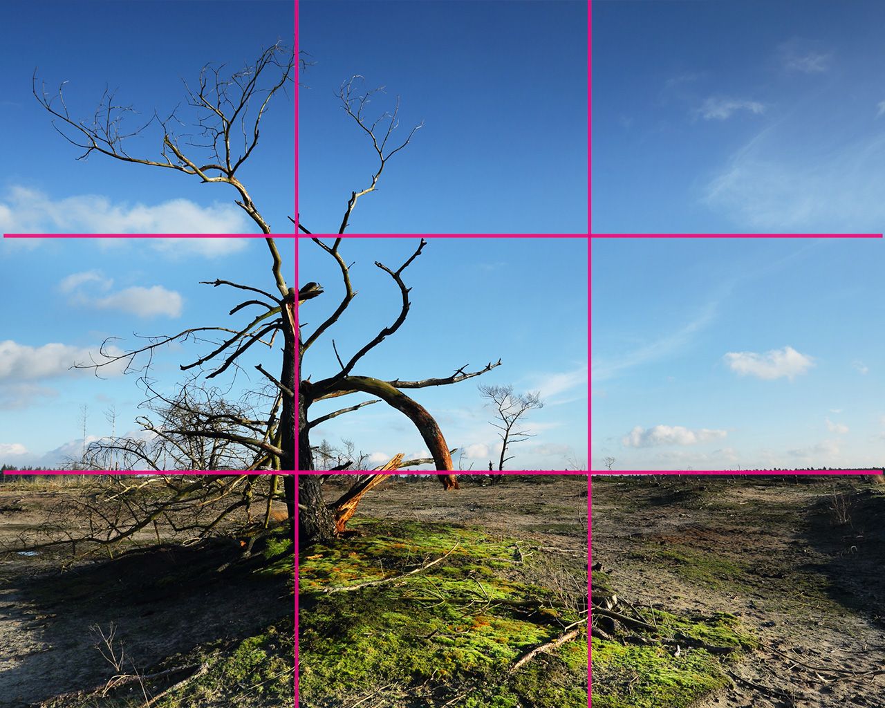 1280x1024 A Better Way To Use the Rule of Thirds To Your Advantage