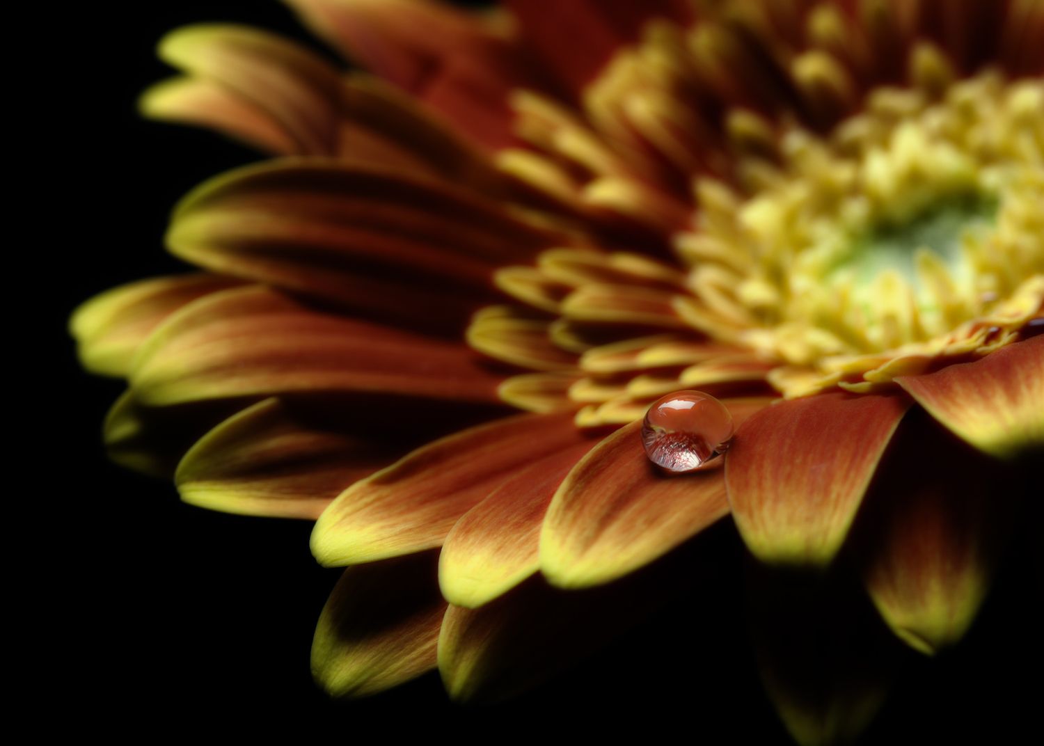 1500x1072 expert techniques for better photo compositions
