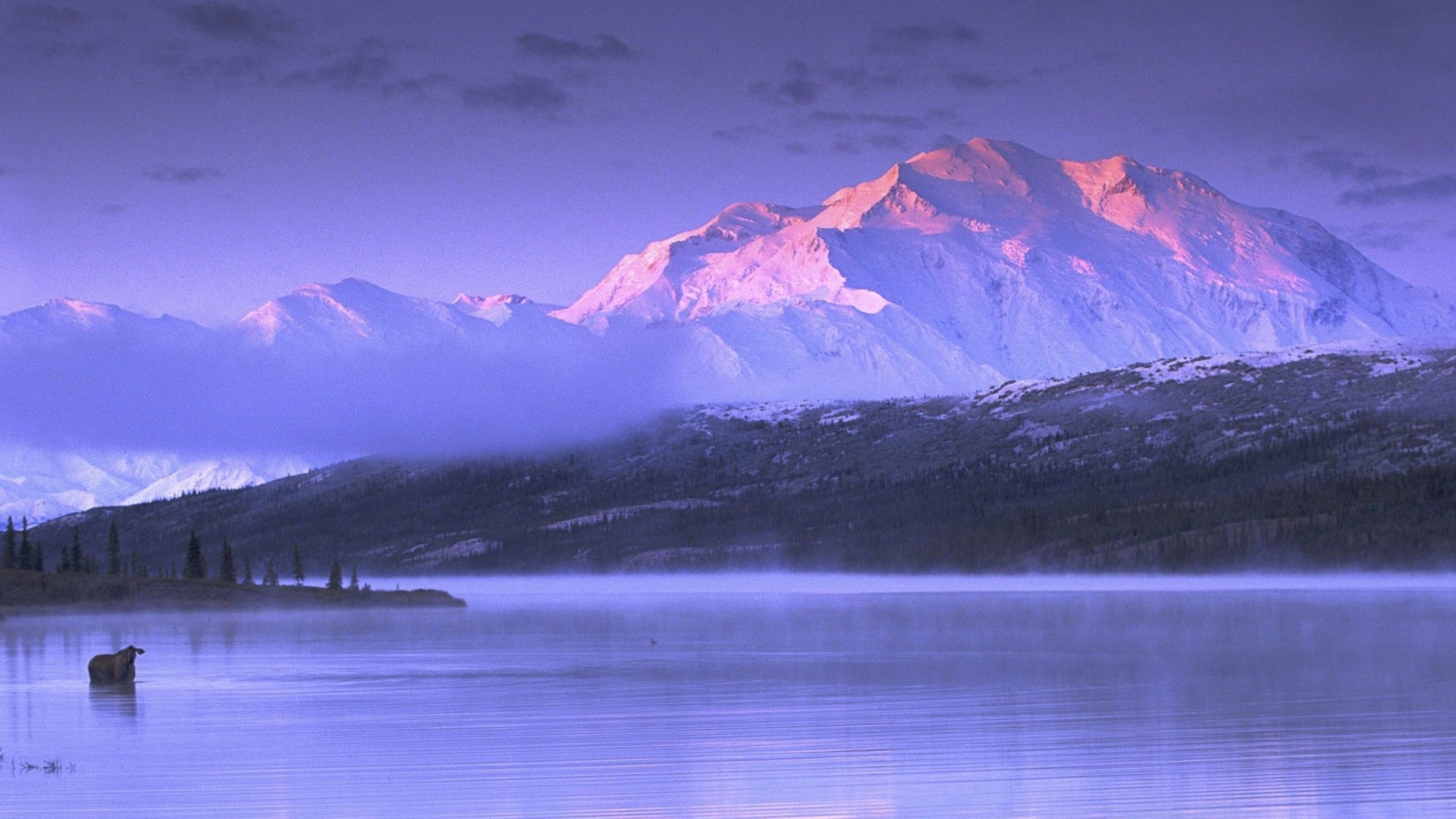 2560x1440 Landscape View Of Alaska White Covered Mountains Under White Sky And Calm Body Of Water 4K HD Nature Wallpaper