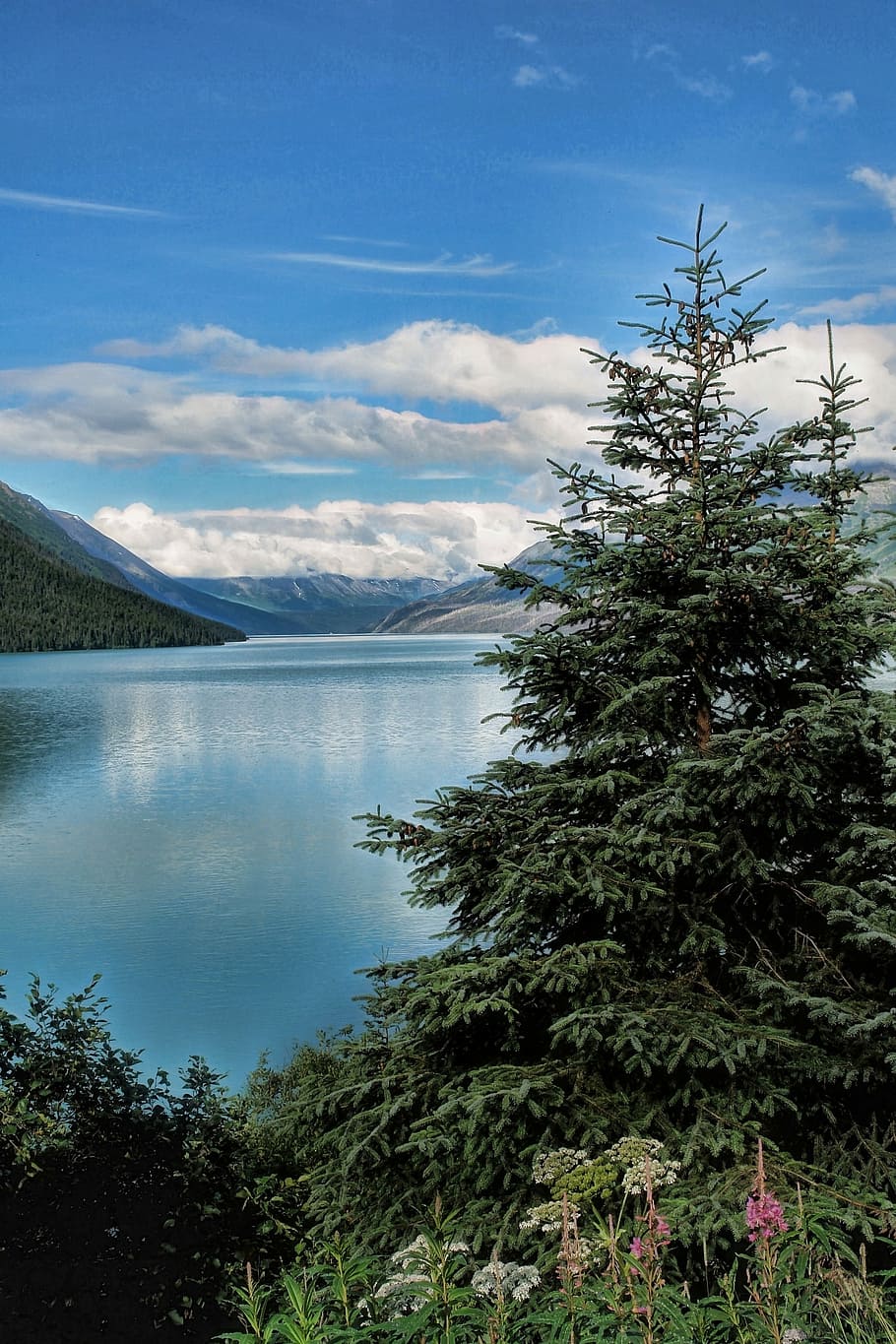 910x1365 HD wallpaper: Landscape, Seward Alaska, wilderness, river, alaskan, usa, america