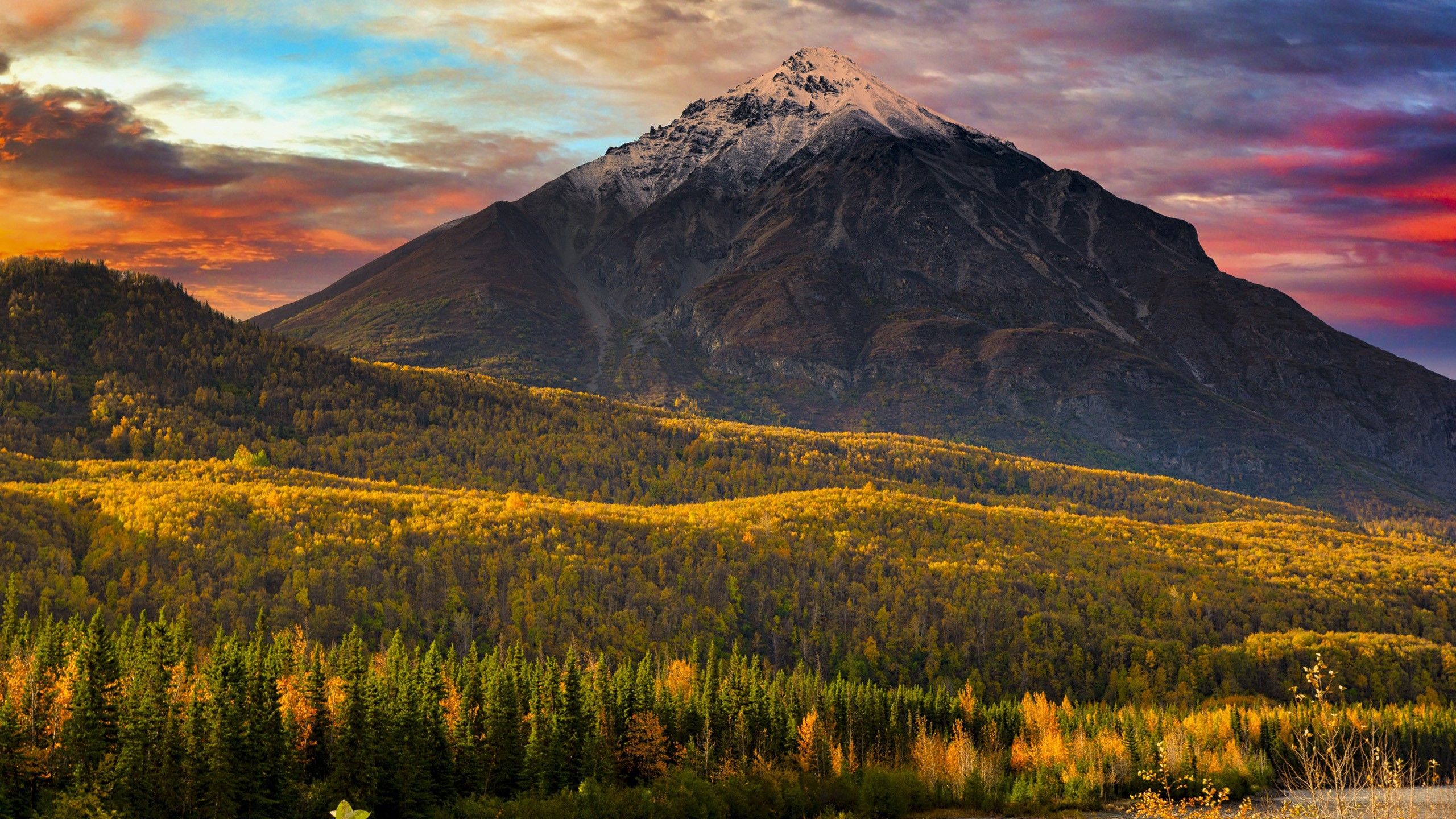 2560x1440 Alaska Fall Forest With Landscape View Of Mountain Under Reddish Blue Cloudy Sky HD Nature Wallpaper