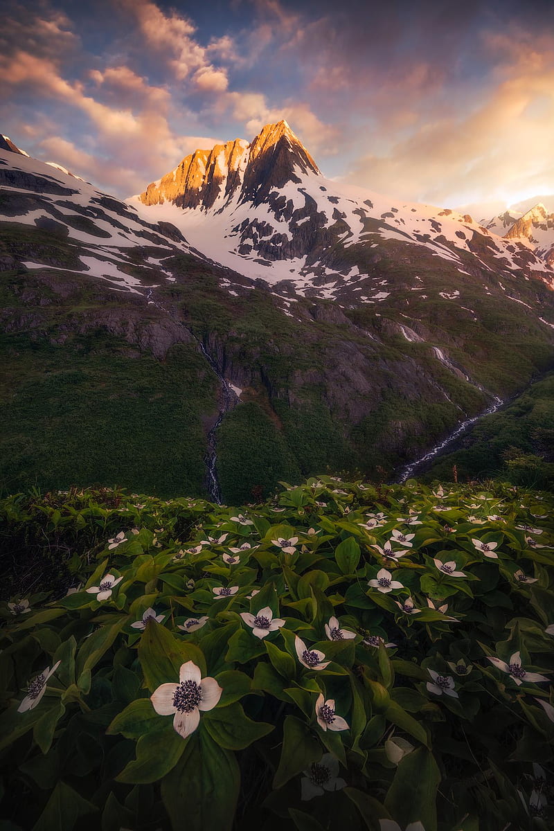 800x1200 Alaska, day, flowes, mount, mountain, river, HD phone wallpaper