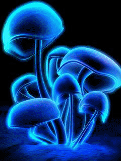 240x320 Animated gifs : Animated wallpaper for cellphones
