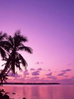 240x320 Nature Wallpaper Download. Mobile Wallpaper. Download Free Android, iPhone, Samsung HD Background