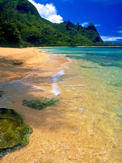 240x320 Beautiful beach wallpaper