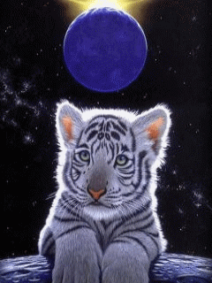 240x320 FREE MOBILE WALLPAPERS (240 X 320 SIZE) OF EXCELLENT QUALITY: GIF Funny