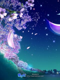 240x320 Free Wallpaper To Mobile, Mobile Wallpaper, Free Animated Mobile Wallpaper