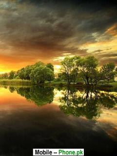 240x320 Cute beautiful evening Wallpaper Mobile Pics