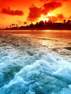 240x320 Magical ocean sunset wallpaper