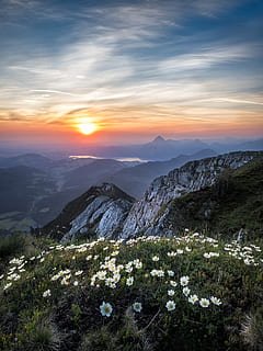 240x320 HD wallpaper: nostalgia, euphoric, marvelous view, beautiful wallpaper, countryside