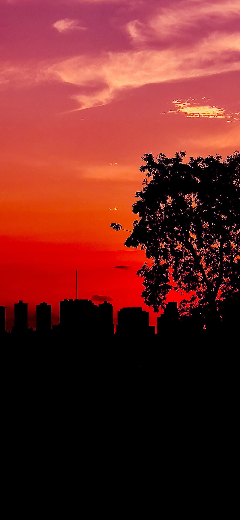 800x1734 Red sunset sky city, buildings, city, dark city, duotone, nature, red sky, sky, HD phone wallpaper
