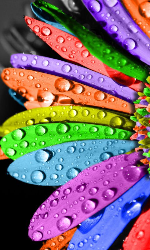 480x800 colors!