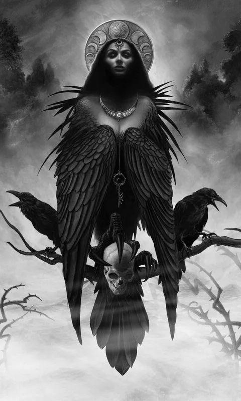 480x800 Xteink X4 Wallpaper