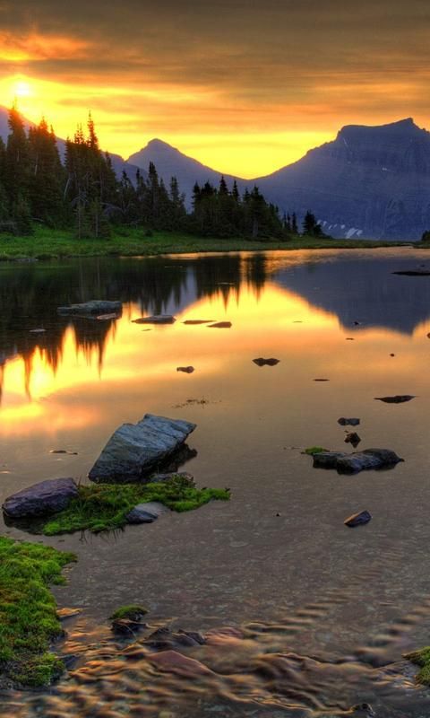 480x800 beautiful wallpaper for android