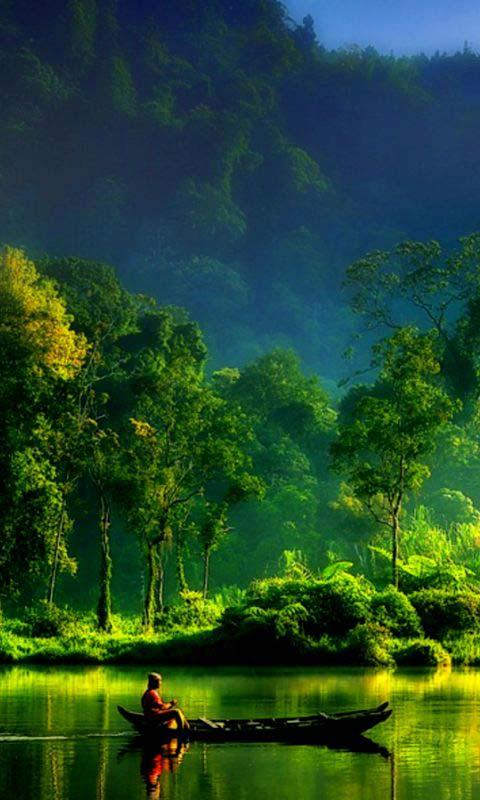 480x800 ANDROID WALLPAPERS