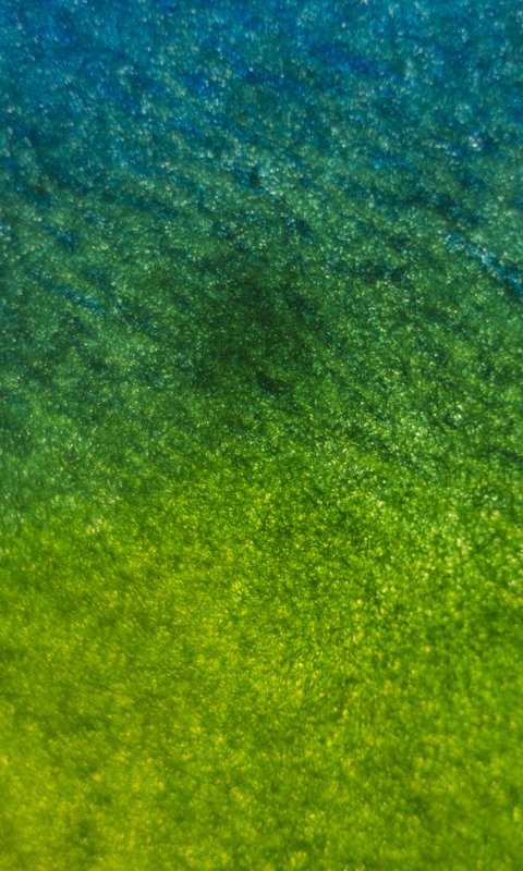 480x800 Dye Lockscreen Wallpaper for Windows Phone 7
